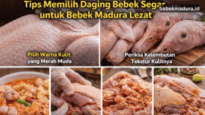 daging bebek segar untuk Bebek Madura
